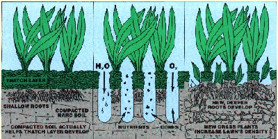 Aeration Slab Core Aeration - Finocchiaro Lawn & Landscape